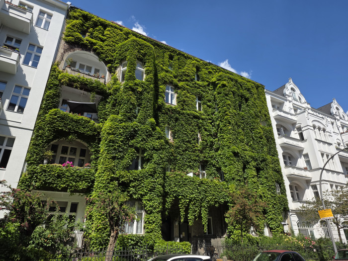 Ein mit dem Galaxy S25 Edge gemachtes Bild (Bild: Tobias Költzsch/Golem.de)